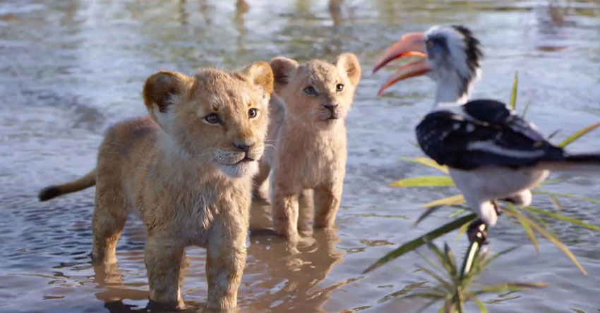 Hình ảnh và âm nhạc đỉnh cao